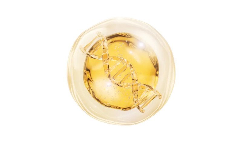 科普：干细胞与免疫细胞有哪些不同？