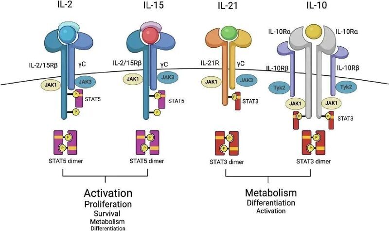 微信图片_2025-08-05_132215_071