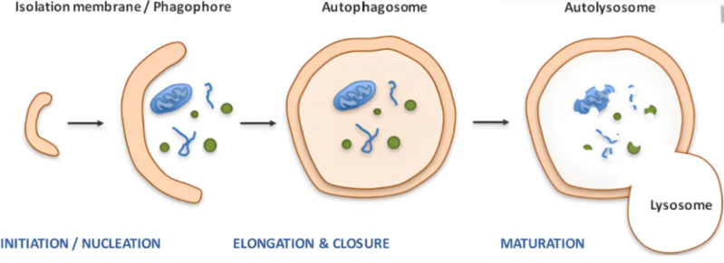 wechat_2025-08-13_163401_658 wechat_2025-08-13_163401_658