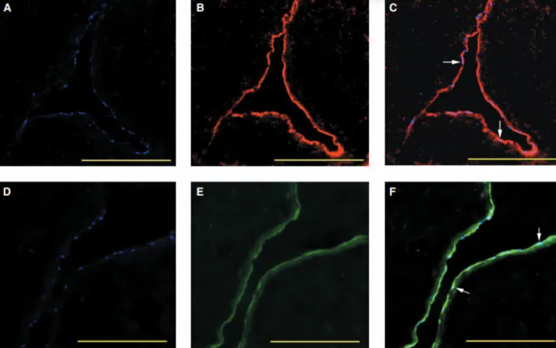 wechat_2025-08-21_143258_932